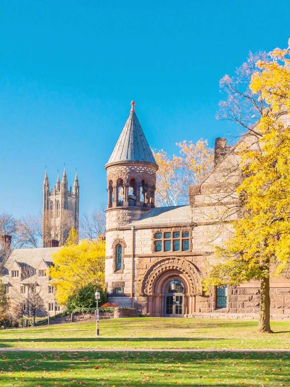 庆南健康科学大学