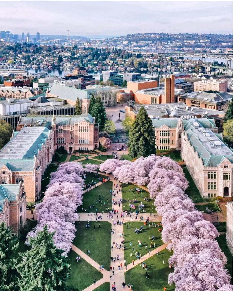 伦敦大学玛丽皇后学院